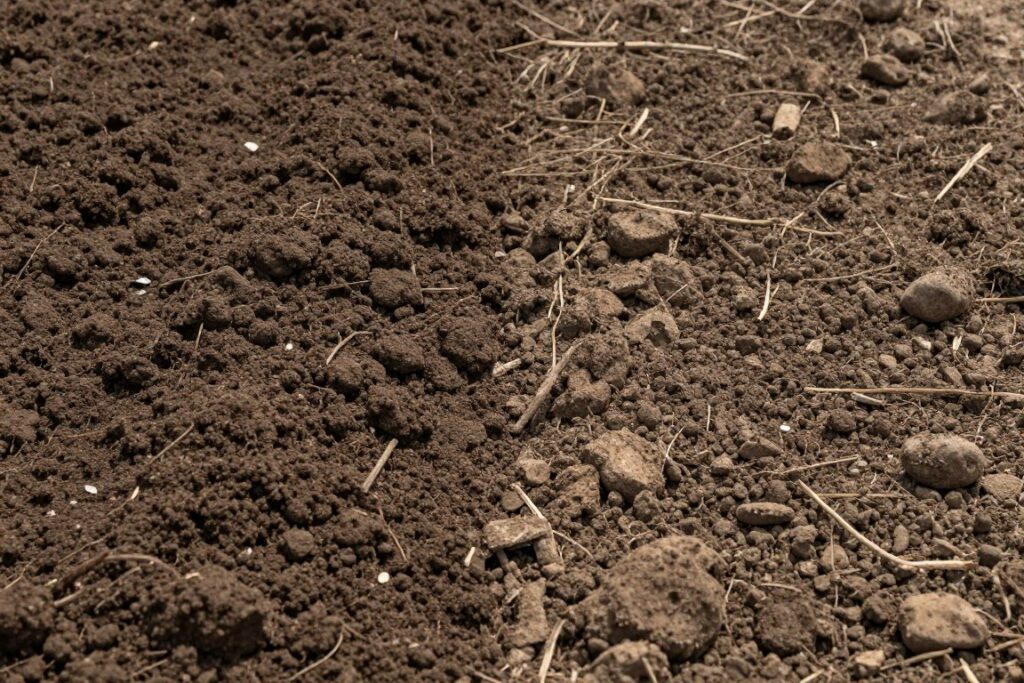 Porównanie gleby odpowiedniej i nieodpowiedniej dla uprawy ziemniaków